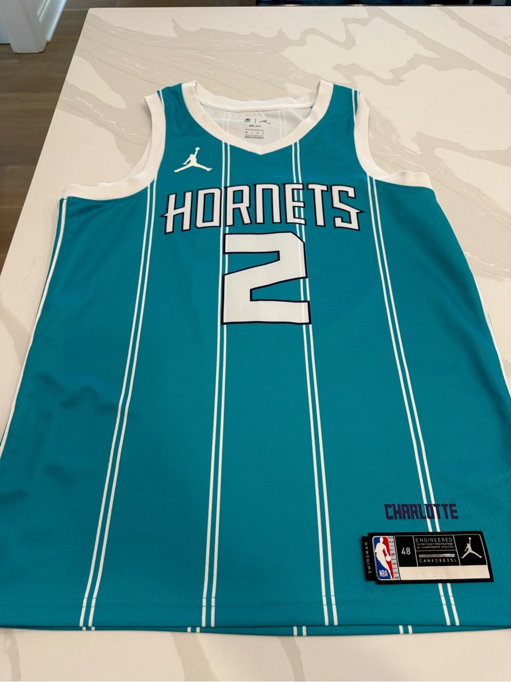 Jordan Teal Charlotte Hornets #2 Pinstripe Basketball Jersey … Lamelo Ball